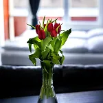 Direkt Am Werbellinsee Apartamento *