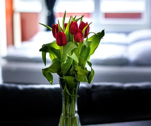 Direkt Am Werbellinsee 아파트 *